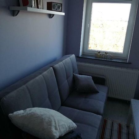 Business Apartments 28 Бидгошч Екстериор снимка